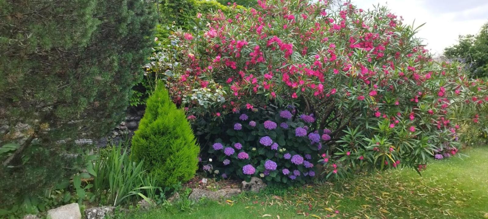 Gite 5 "Le Laurus" Aux Magnolias Aubenas Exteriér fotografie