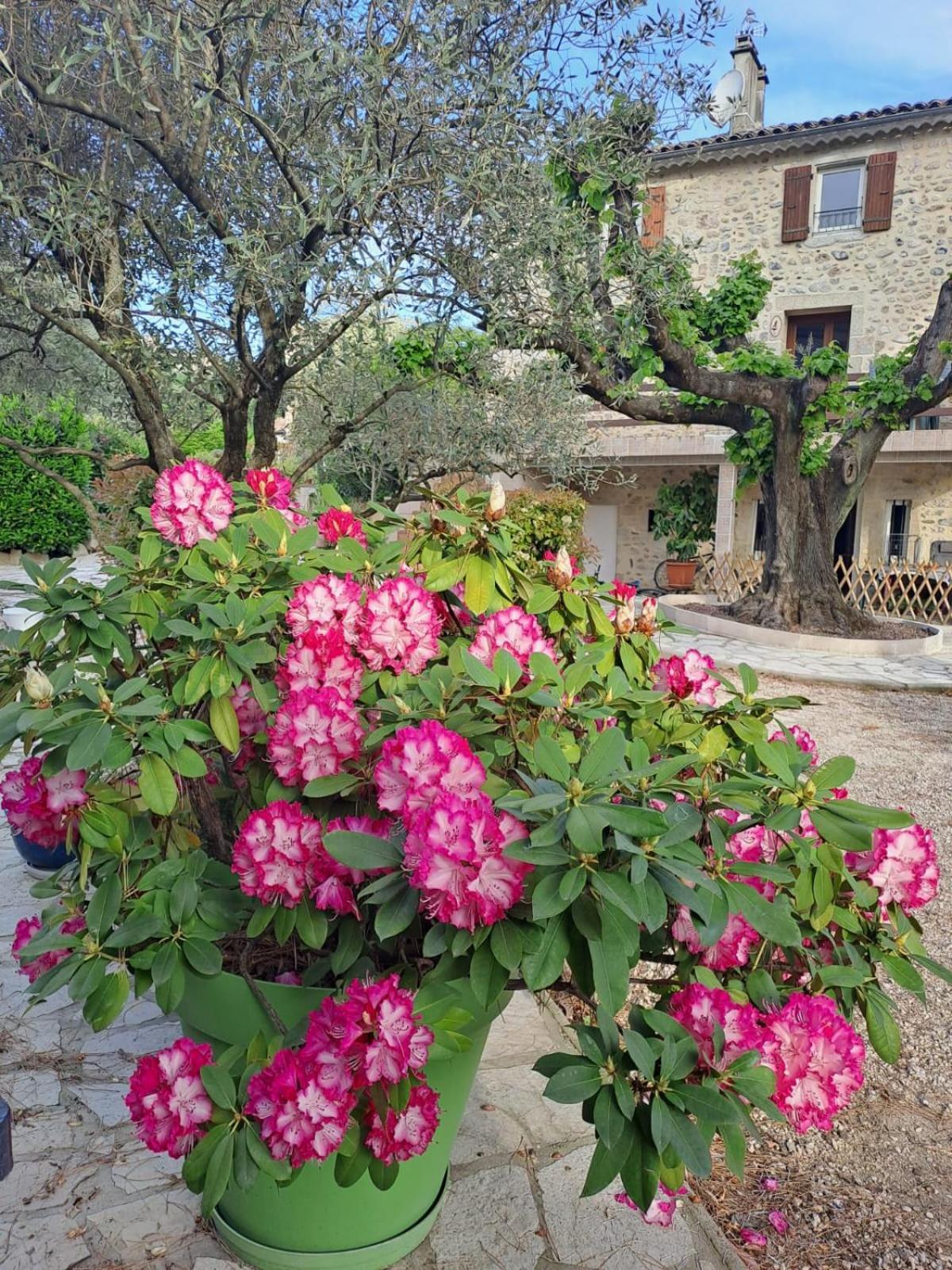 Gite 5 "Le Laurus" Aux Magnolias Aubenas Exteriér fotografie