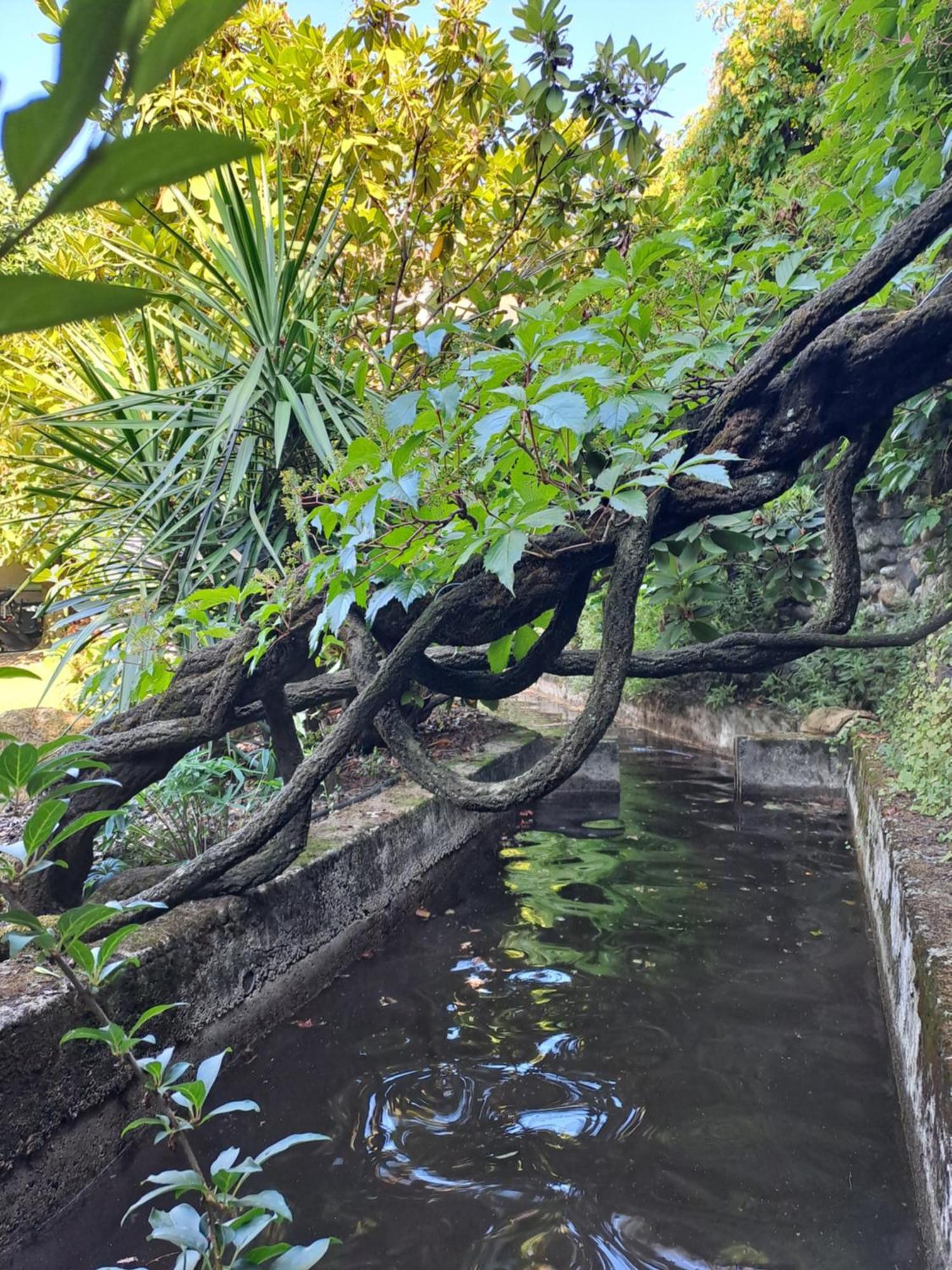 Gite 5 "Le Laurus" Aux Magnolias Aubenas Exteriér fotografie